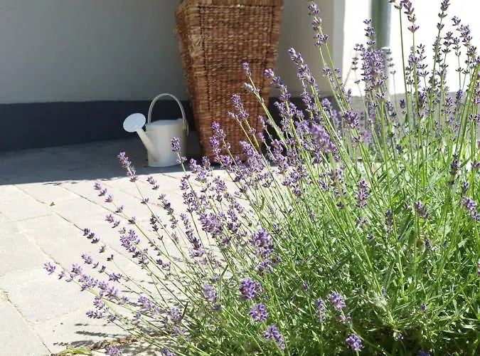 Tiszara Nezo Hevereszo - Lounger Overlooking The Tisza River Vakantiehuis